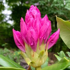 Meet your Posher, Krispin